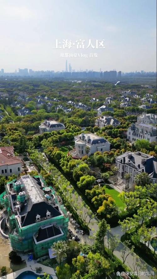 随着中国经济的迅速增长,上海的房地产市场也经历了巨大的变化.